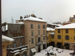 Viterbo - Alessandro Franconeri