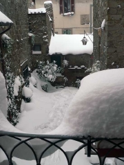 Viterbo -  Manuela Claudiani