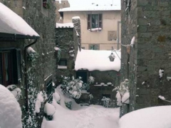 Viterbo -  Manuela Claudiani