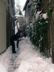 Viterbo -  Manuela Claudiani