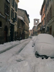 Viterbo -  Manuela Claudiani