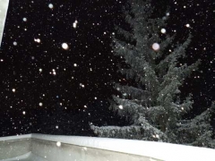 Nevicata notturna Gotte S. Stefano