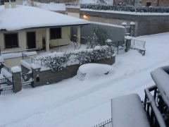 Viterbo - via Tullio Cima - Maurizio Rubini