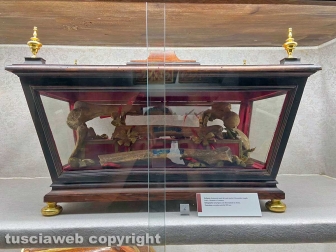La cappella delle reliquie