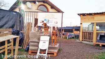 La Casa di Chicca e l'Oasi Luna