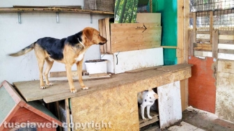 La Casa di Chicca e l'Oasi Luna