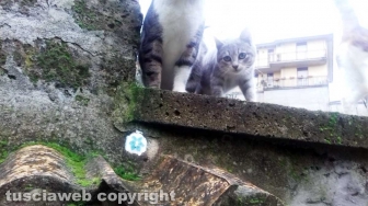 La Casa di Chicca e l'Oasi Luna