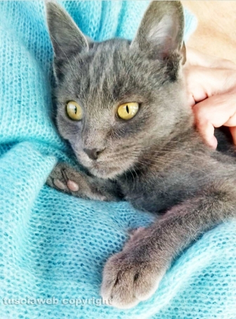 La Casa di Chicca e l'Oasi Luna