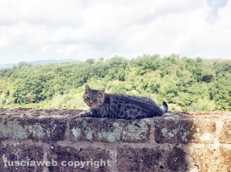 La Casa di Chicca e l'Oasi Luna