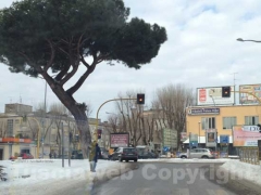 Piazzale Gramsci - Questa mattina 5 febbraio alle 10,30