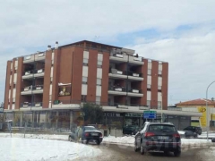 La rotonda sulla Cassia Nord - Questa mattina 5 febbraio alle 10,30