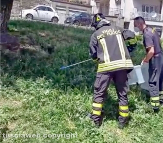 Schermata-2021-06-27-alle-00.24.36