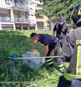 Schermata-2021-06-27-alle-00.26.10