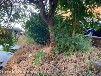 WhatsApp-Image-2021-06-27-at-00.39.56