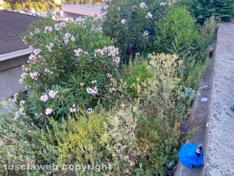 WhatsApp-Image-2021-06-27-at-00.40.00