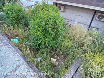 WhatsApp-Image-2021-06-27-at-00.40.01