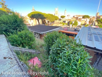 WhatsApp-Image-2021-06-27-at-00.40.05