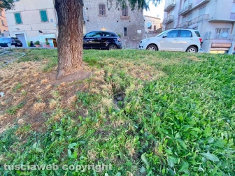 WhatsApp-Image-2021-06-27-at-00.40.30