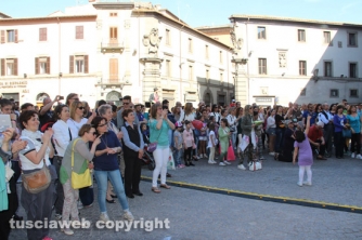 Viterbo - La città a colori 2015
