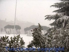 Viterbo - La città antica sotto la neve - Fausto Cappelli