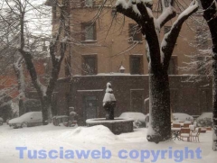 Viterbo - La città antica sotto la neve - Fausto Cappelli