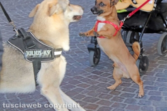 La città da Natale a Santo Stefano