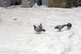La città dei Papi dopo la nevicata