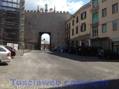 Viterbo - Ferragosto 2012