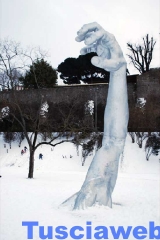 Viterbo - Annalisa Romaldo