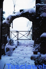 Viterbo - Annalisa Romaldo