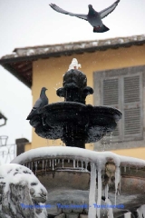 Emozioni innevate - Francesco Cecchitelli