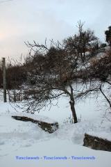 Emozioni innevate - Francesco Cecchitelli