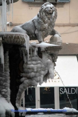 Viterbo - Francesco Luna