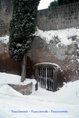Viterbo - Francesco Luna