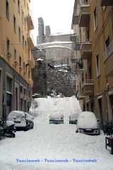 Viterbo - Francesco Luna