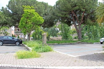 La città invasa dall'erba