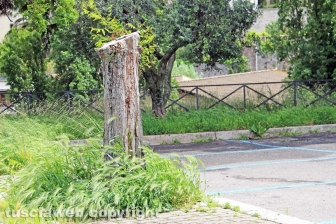 La città invasa dall'erba