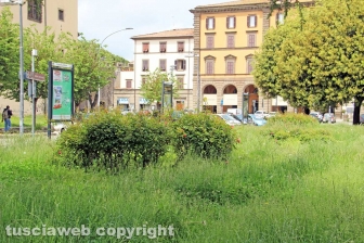 La città invasa dall'erba