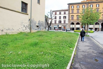 La città invasa dall'erba