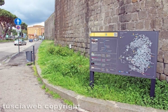 La città invasa dall'erba