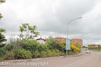 La città invasa dall'erba