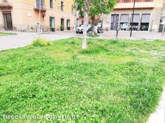 La città invasa dall'erba