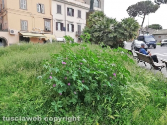 La città invasa dall'erba