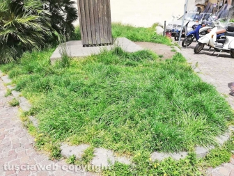 La città invasa dall'erba