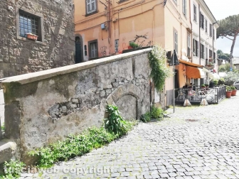 La città invasa dall'erba