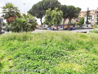 La città invasa dall'erba