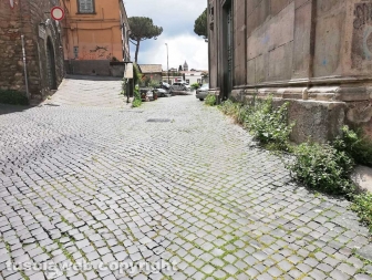 La città invasa dall'erba