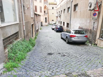 La città invasa dall'erba
