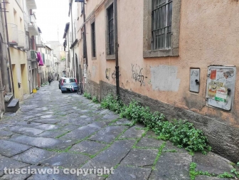 La città invasa dall'erba