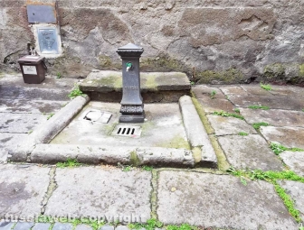 La città invasa dall'erba